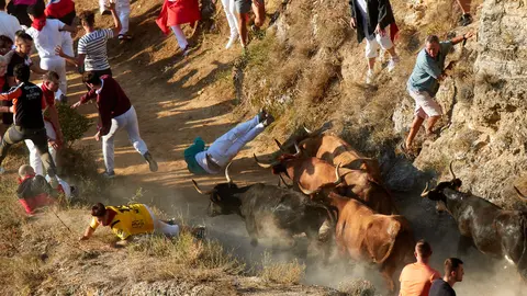 Segundo encierro del Pilón de Falces 2023. IÑIGO ALZUGARAY