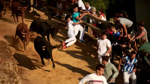 Cuarto encierro del Pilón de Falces 2023. IRANZU LARRASOAÑA