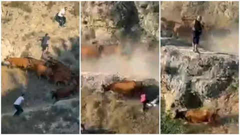 Secuencia del salto de la vaca de Hípica Zahorí por el terraplén en el 5º Encierro de El Pilón de Falces.