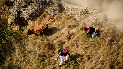 Quinto encierro del Pilón de las fiestas de Falces 2023. PABLO LASAOSA