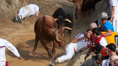 -	Sexto encierro del Pilón de Falces 2023. IRANZU LARRASOAÑA