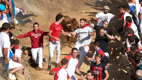 Séptimo encierro del Pilón de Falces 2023. IRANZU LARRASOAÑA