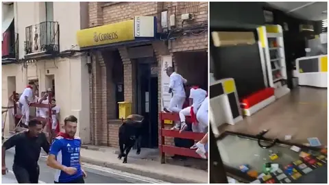 Una vaca se cuela en una oficina de Correos en Cintruénigo durante las fiestas.