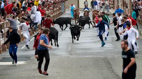 Cuarto encierro de fiestas de Sangüesa con novillos de Emilio Galán Trilla. IRANZU LARRASOAÑA