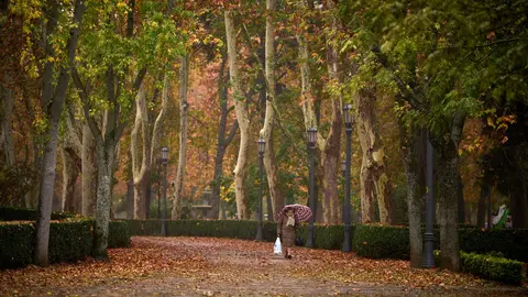 El otoño llega a Pamplona. PABLO LASAOSA