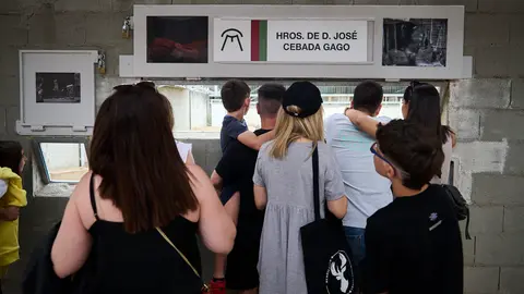 Los Corrales del Gas abren sus puertas para visitar las ganaderías de San Fermín 2024. PABLO LASAOSA