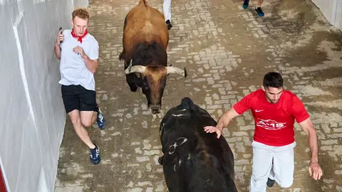Cuarto encierro de San Fermín 2024 con toros de la ganadería de Fuente Ymbro en el tramo del callejón y la entrada a la Plaza de Toros. IÑIGO ALZUGARAY