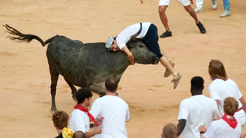 Vaquillas tras el quinto encierro de San Fermín 2024. IRANZU LARRASOAÑA