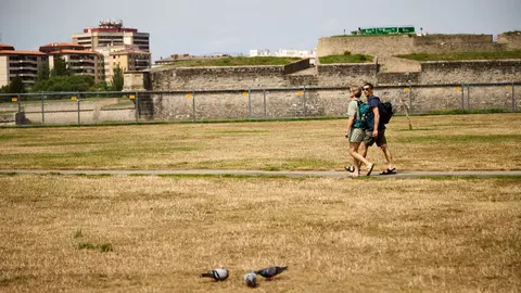 Zona verde junto a la Estación de Autobuses de Pamplona después de las Fiestas de San Fermín 2024. IÑIGO ALZUGARAY