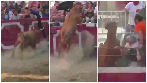 La vaca ha saltado a los tendidos provocando el pánico en cadreita. DIRECTO CADREITA
