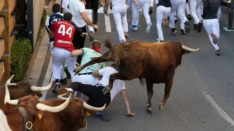 Primer encierro de Tudela, con novillos de Emilio Escuelas de Cáceres. Maite H. Mateo-26