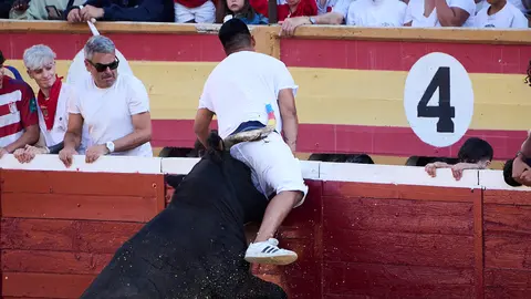 Suelta de vaquillas de la ganadería Santos Zapatería de Valtierra durante las fiestas de Tudela 2024. PABLO LASAOSA
