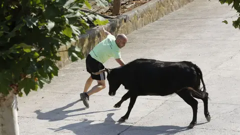 Imágenes de los encierros del Estrecho de Arguedas. JOSÉ EMILIO FLORISTÁN