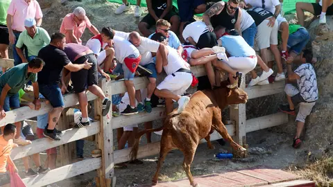 Encierro del Estrecho de Arguedas 2024 con reses bravas la ganaderia de Arriazu de Ablitas. IÑIGO ALZUGARAY