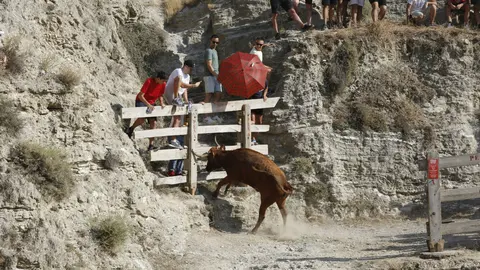 Penúltimo Encierro del Estrecho de Arguedas con la ganadería Alfredo Íñiguez. JOSÉ EMILIO FLORISTÁN