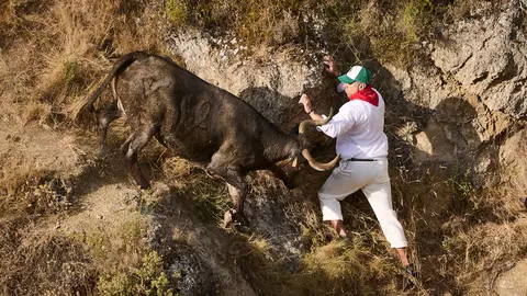 Segundo encierro del Pilón 2024 de las fiestas de Falces con vacas de Teodoro Vergara. PABLO LASAOSA