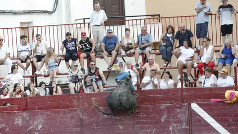 Vacas de la S.A.T. Hermanos Ustárroz en Arguedas. JOSÉ EMILIO FLORISTÁN