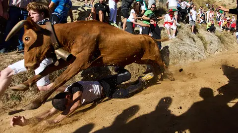 Sexto encierro del Pilón de Falces 2024 con la ganadería Hípica Zahorí de Falces. IÑIGO ALZUGARAY