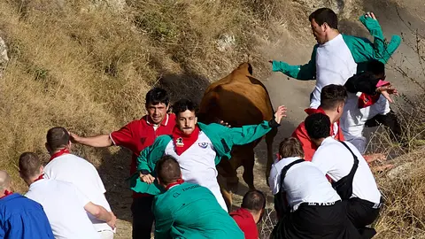 Séptimo encierro del Pilón de Falces 2024 con la ganadería Vicente Domínguez de Funes. IÑIGO ALZUGARAY