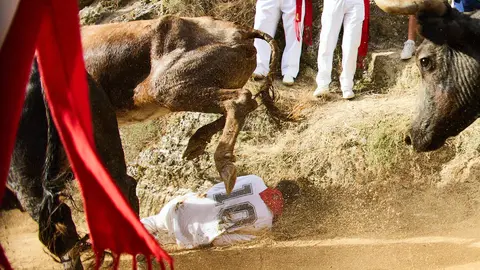 Octavo y último encierro del Pilón de Falces 2024 con la ganadería Teodoro Vergara de Falces. IÑIGO ALZUGARAY