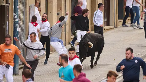 Sexto y último encierro de las fiestas de Tafalla 2024 con toros de Galache de Toropasión. PABLO LASAOSA