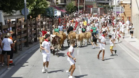 Espectáculo de trashumancia urbana por las calles del recorrido del encierro de Valtierra con la ganadería Kyra Zapatería, de Valtierra. EMILIO FLORISTÁN