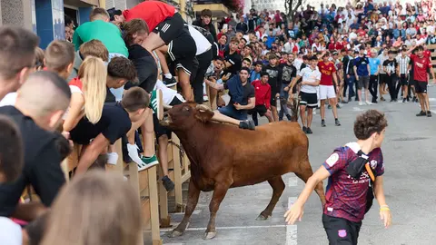 Vaquillas de la ganadería de Hermanos Ganuza en las Fiestas de Noáin 2024. IÑIGO ALZUGARAY