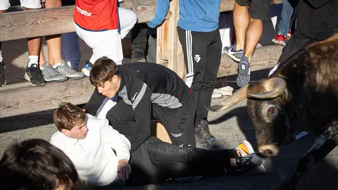 Tercer  encierro de Sangüesa con toros de Sobral de Portugal. Maite H.Mateo-15