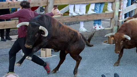 Cuarto encierro de las fiestas de Sangüesa 2024 con toros de la ganadería de Couto de Fornilos de Sevilla. IÑIGO ALZUGARAY