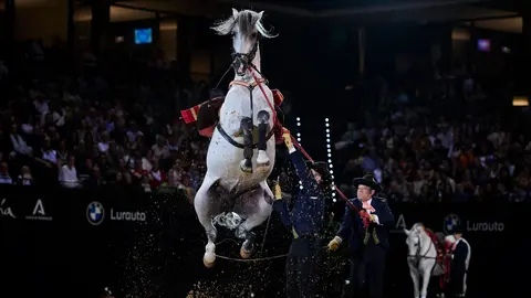Espectáculo ecuestre 'Cómo bailan los caballos andaluces' de la Real Escuela Andaluza de Arte Ecuestre en el Navarra Arena. PABLO LASAOSA