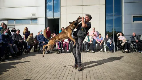La Unidad Canina de la Policía Foral de Navarra realiza una exhibición con los perros de la unidad a las personas usuarias del centro de Centro Integral de Atención Neurorehabilitadora de Navarra. PABLO LASAOSA