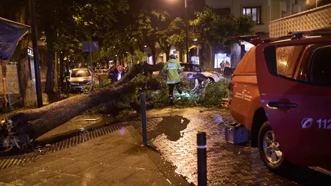 Varios bomberos trabajan en la retirada de un árbol caído durante la tormenta en la calle San Fermín de Pamplona. IÑIGO ALZUGARAY