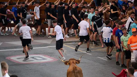 Tarde de vacas en las fiestas de Mutilva 2025. PABLO LASAOSA