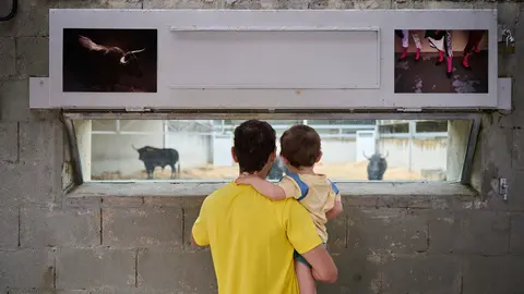 Apertura de los corrales del Gas para ver los toros de San Fermín 2025. PABLO LASAOSA