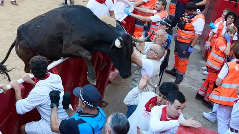 Suelta de vaquillas en la Plaza de Toros de Pamplona tras el séptimo encierro de San Fermín 2025 con toros de la ganadería de La Palmosilla. IÑIGO ALZUGARAY
