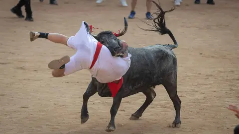 Suelta de vaquillas tras el octavo encierro de San Fermín.Maite  H. Mateo..-38