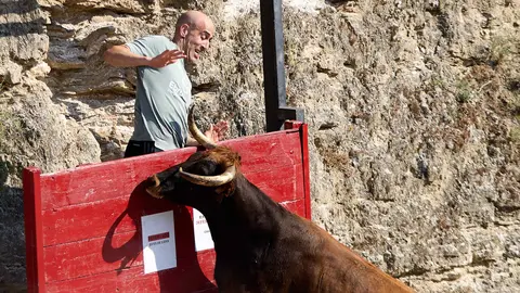 Encierro del Estrecho de Arguedas 2025 con reses bravas de la ganaderia de Víctor Ustárroz de Arguedas. IÑIGO ALZUGARAY