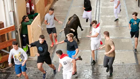 Encierro de novillos en Fiestas de Estella 2025 del 6 de agosto. IRANZU LARRASOAÑA