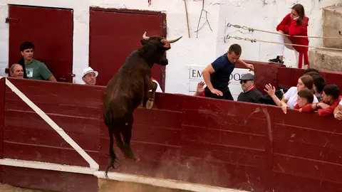 Vaquillas en Fiestas de Estella 2025 del 6 de agosto. IRANZU LARRASOAÑA