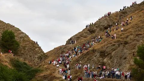 Tercer encierro del Pilón en las fiestas de Falces de 2025 con vacas de la ganadería de Teodoro Vergara de Falces. IÑIGO ALZUGARAY