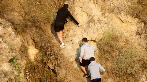 ºCuarto encierro del Pilón en las fiestas de Falces de 2025 con vacas de la ganadería de Alba Reta de Grocin. IÑIGO ALZUGARAY