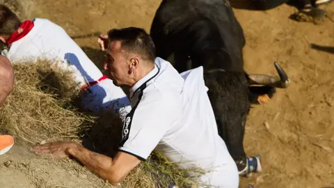 Séptimo encierro del Pilón en las fiestas de Falces de 2025 con vacas de la ganadería de Juan José Laparte de Marcilla. IÑIGO ALZUGARAY