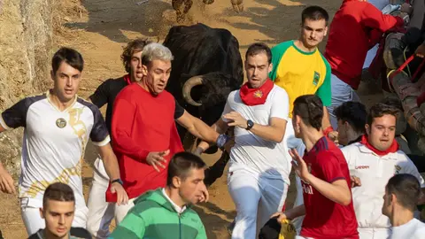 Octavo encierro del Pilón con vacas de la ganadería Teodoro Vergara. Maite  H. Mateo..-12