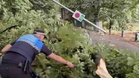 Captura del v&iacute;deo de Polic&iacute;a Municipal de Pamplona retirando un &aacute;rbol derribado por la tormenta.