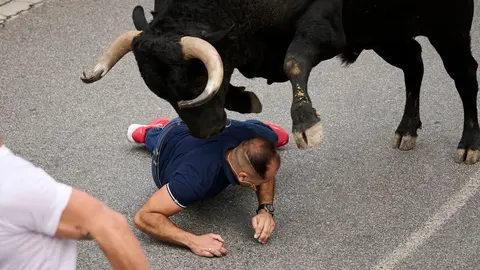 Primer encierro de las fiestas de Tafalla 2026 con toros de Valdell&aacute;n. PABLO LASAOSA