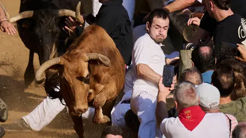 Segundo encierro del Pil&oacute;n de Falces 2026. PABLO LASAOSA