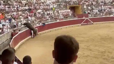 Un toro salta en Tafalla.