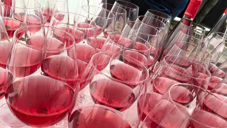 XVIII D&iacute;a del rosado en San Mart&iacute;n de Unx