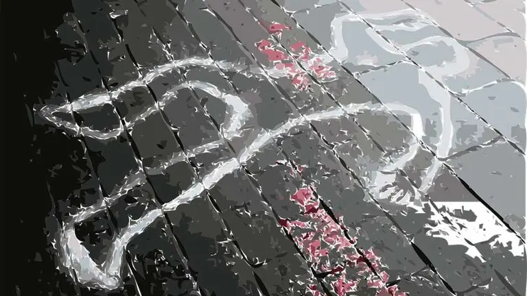 Este martes comienza la tercera edici&oacute;n del ciclo Pamplona negra en Baluarte