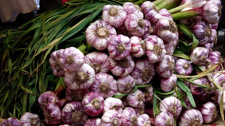 Falces celebra el D&iacute;a del Ajo este domingo 30 de julio.